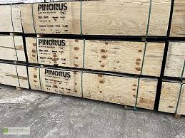 Pinorus Plywood Kontrplak Fiyatları 2024 Mertefe Orman Ürünleri